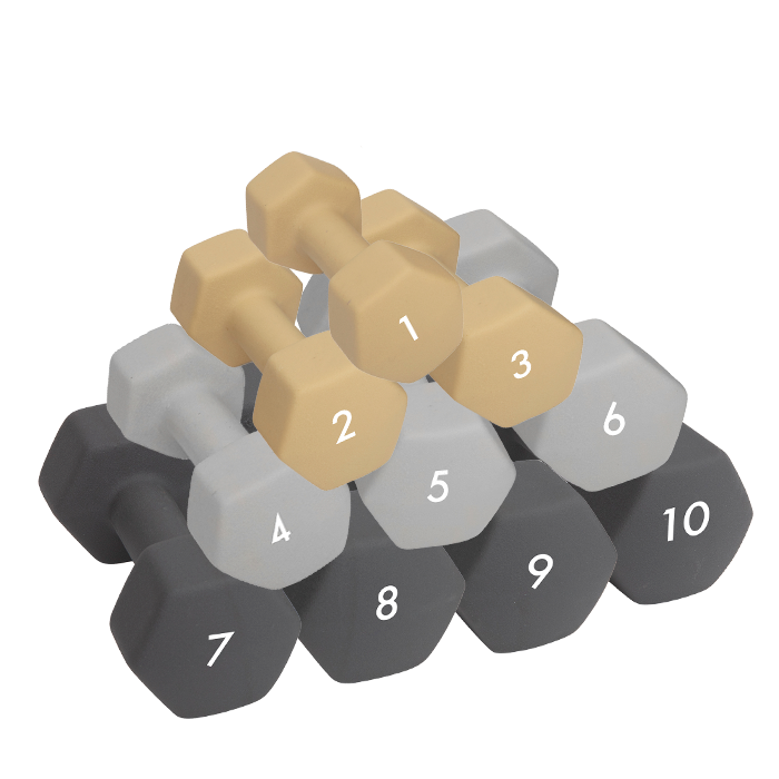 Abilica DumbBell 1 kg
