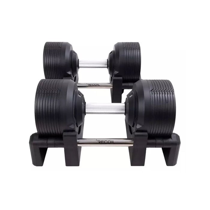 Justerbara Hantlar 2 x 32,5 kg