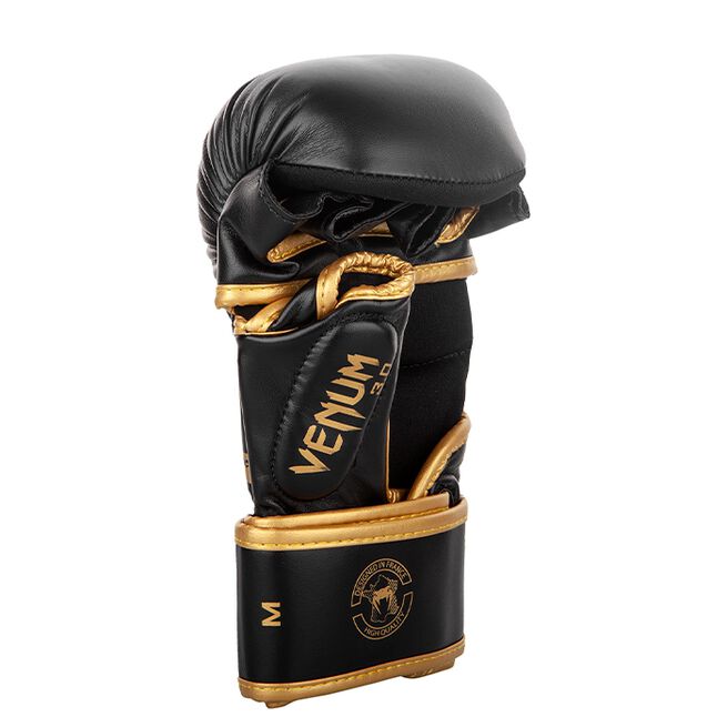 Sparring Gloves Challenger 3.0 Boxningshandskar, Svart/Guld