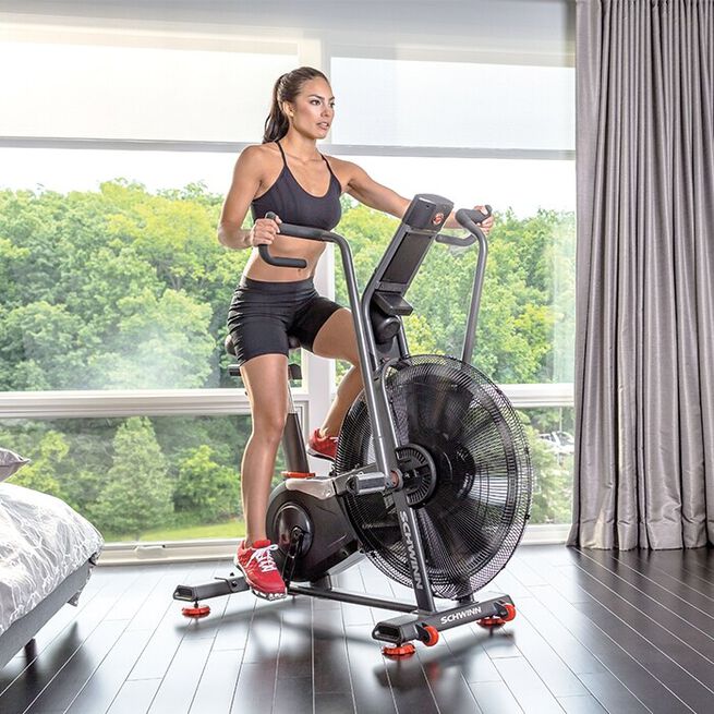 Schwinn Airdyne AD8 Airbike