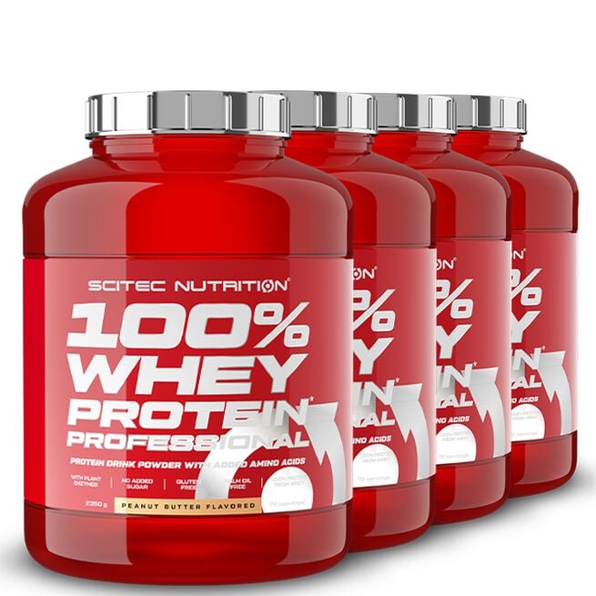 BIG BUY 4 x 100% Whey Protein Professional Vassleprotein 2350 g