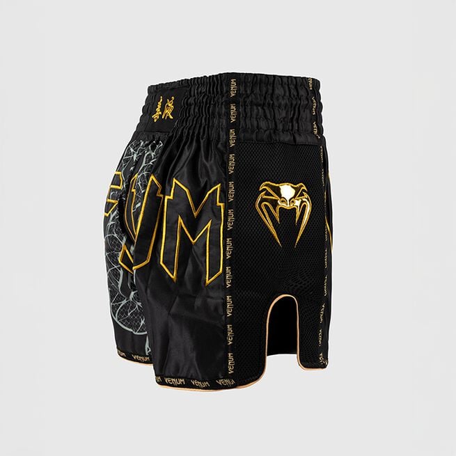 Serpenti Muay Thai-Shorts Svart Silver Guld