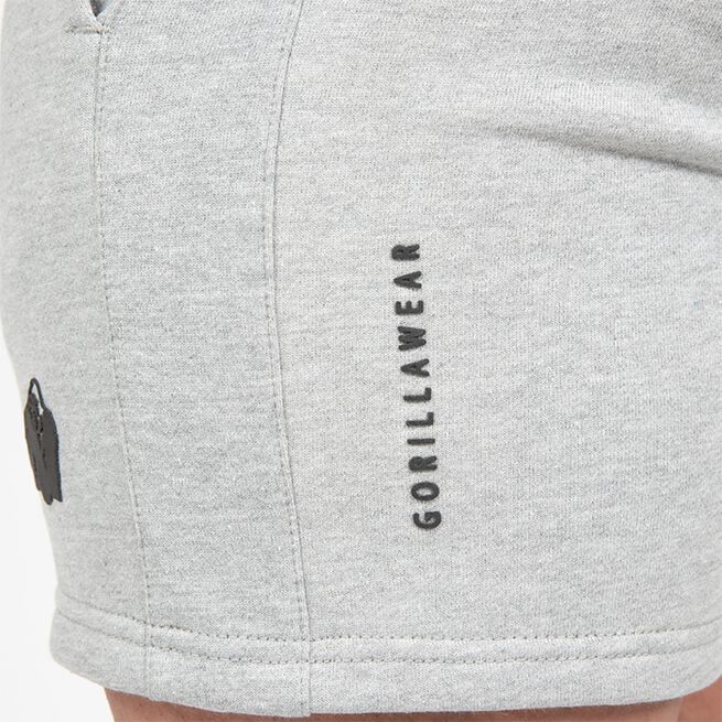 Leon Träningsshorts Grå