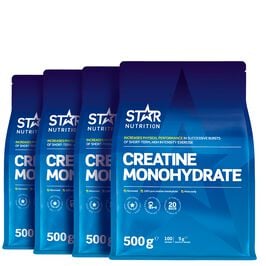 BIG BUY 4 x Kreatin Monohydrat 500 g