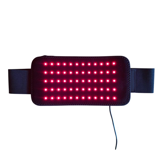 The Red Salamander Rödljusbälte