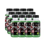 12 x F-cked Up PWO Shot, 100 ml, Green apple 