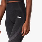 ICANIWILL Ombre 7/8 Seamless Tights, Graphite Melange