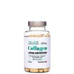 BioSalma Collagen + hyaluronsyra 120 tabletter