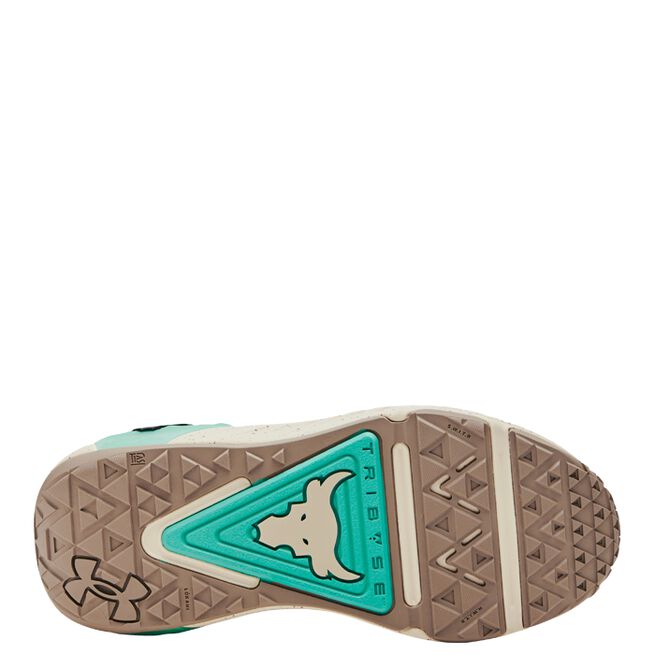 UA Women Project Rock 6, Brown