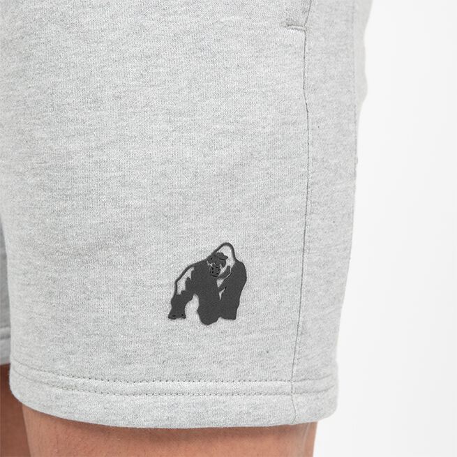 Leon Träningsshorts Grå