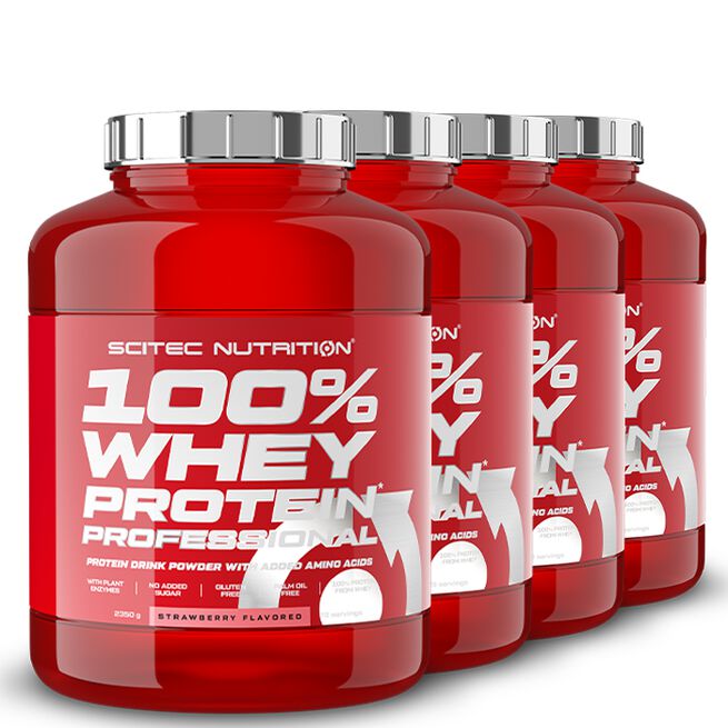 BIG BUY 4 x 100% Whey Protein Professional Vassleprotein 2350 g