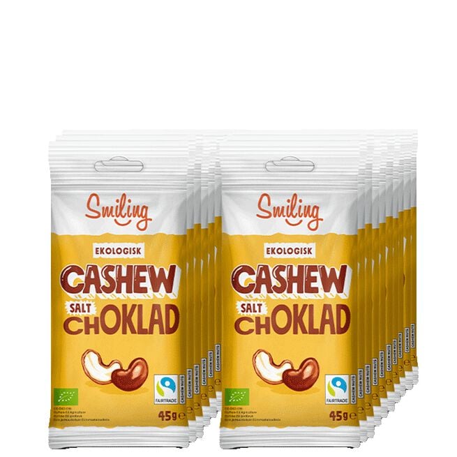 20 x Naturgodis Cashewnötter 45 g Salt Ljus Choklad