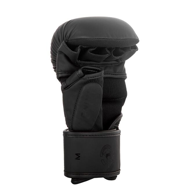 Sparring Gloves Challenger Boxningshandskar 3.0, Svart/Svart