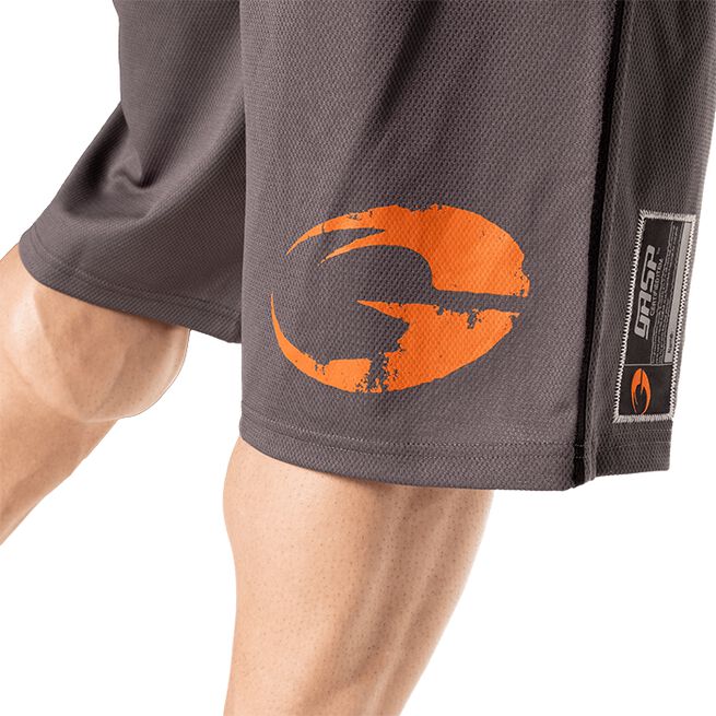 Pro Mesh Shorts, Grey