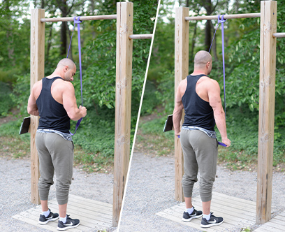 Triceps pushdown Triceps pushdown