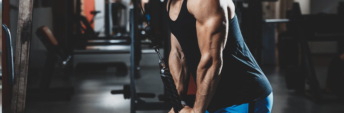 4 övningar som
får triceps att stå ut 4 övningar som
får triceps att stå ut