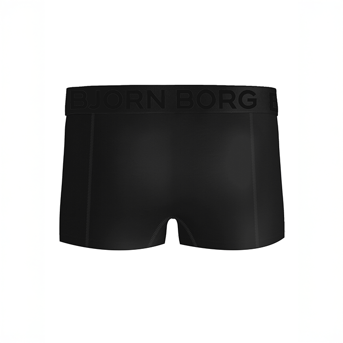 Sports Mesh Trunk 2p