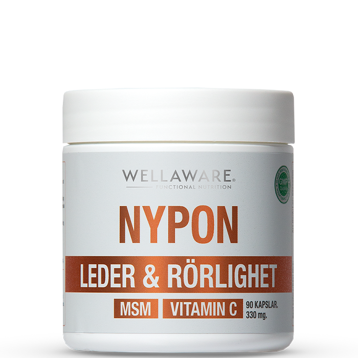 WellAware Nypon MSM Vitamin C 90 Kapslar