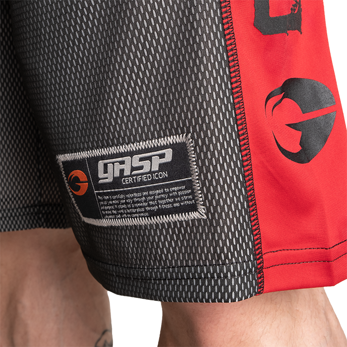 No1 Mesh Shorts, Black/Red
