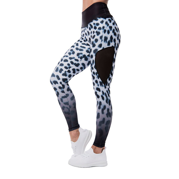 Siberia Mesh Panel Legging, Black/White