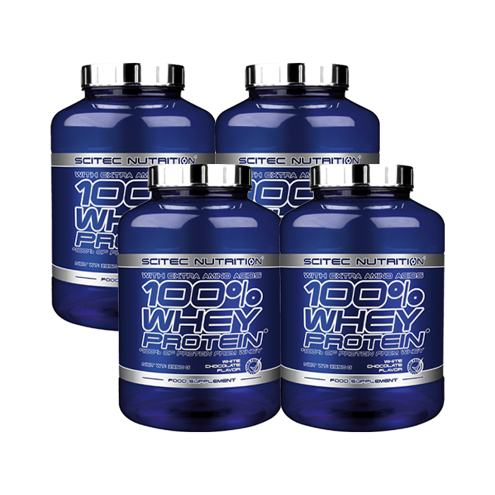 4 x 100% Whey Protein, 2350 g, BIG BUY