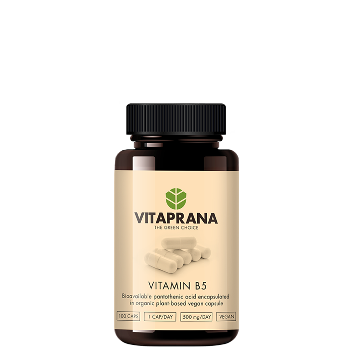 Bild av Vitamin B5, 100 caps