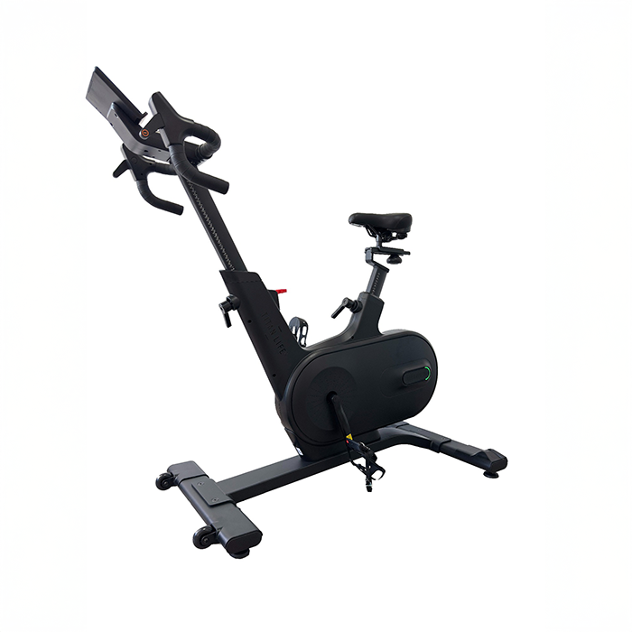 Tr&auml;ningscykel S96