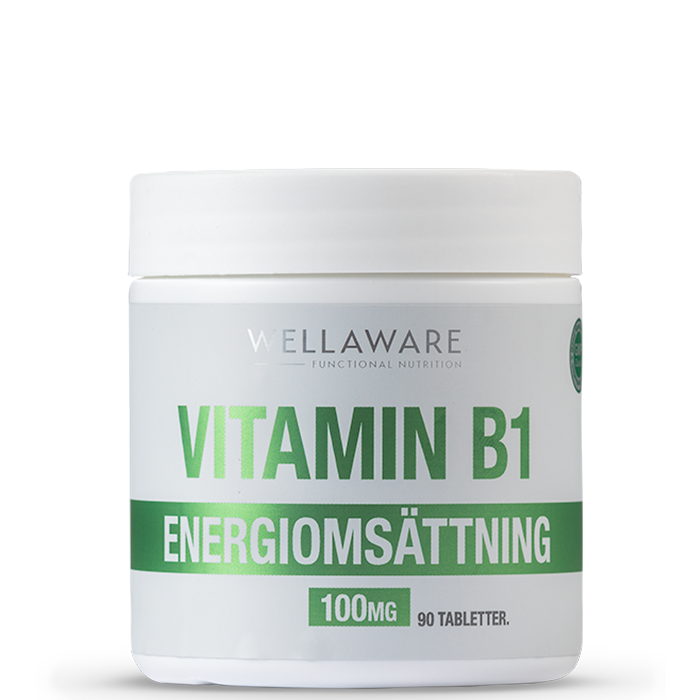 WellAware Vitamin B1 90 Minitabletter