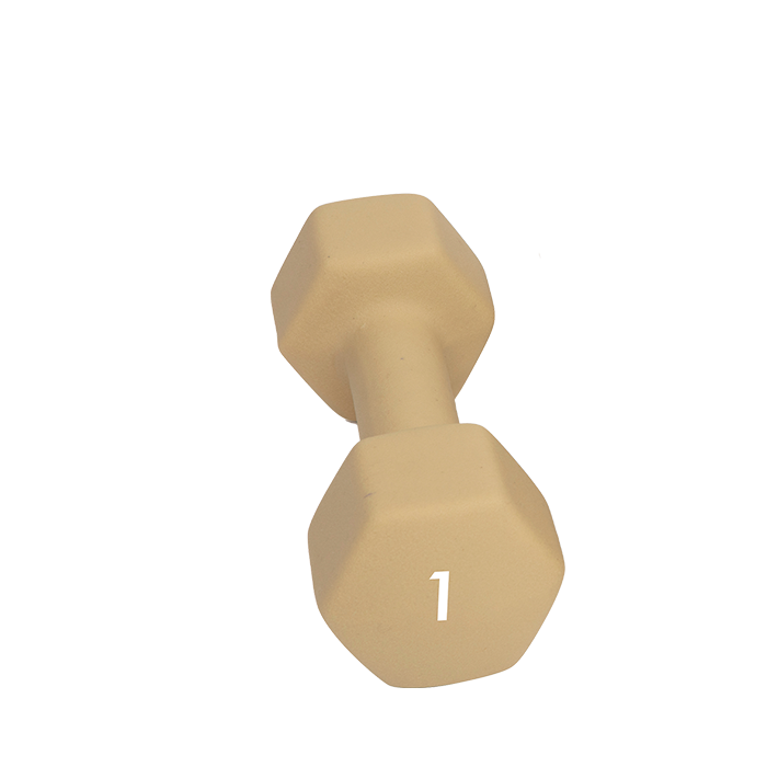 Abilica Hantel 1–10kg