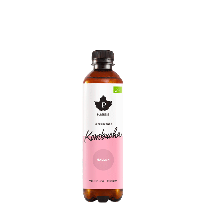 Kombucha EKO, 370 ml