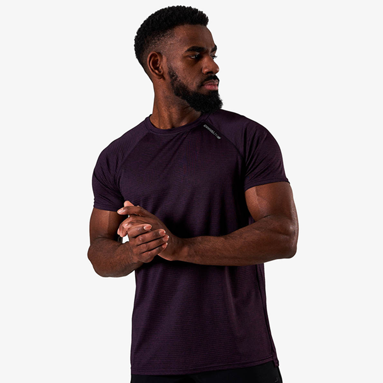 Training Mesh T-shirt v2 Purple Melange