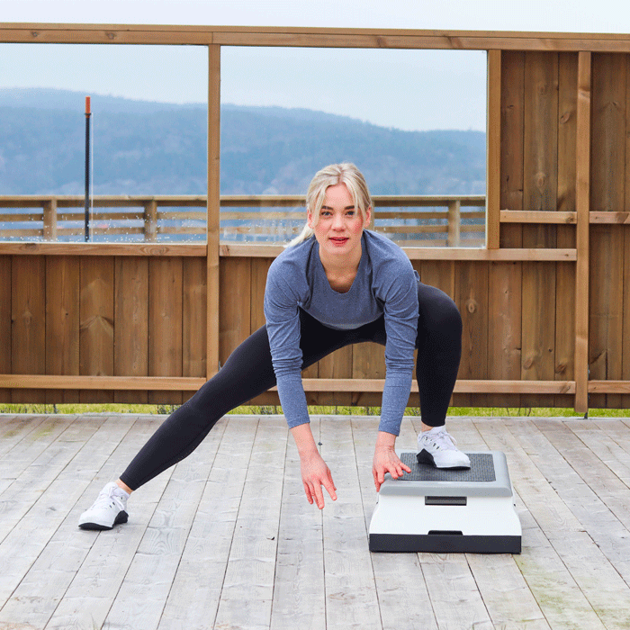 StepUp Pro Stepbr&auml;da