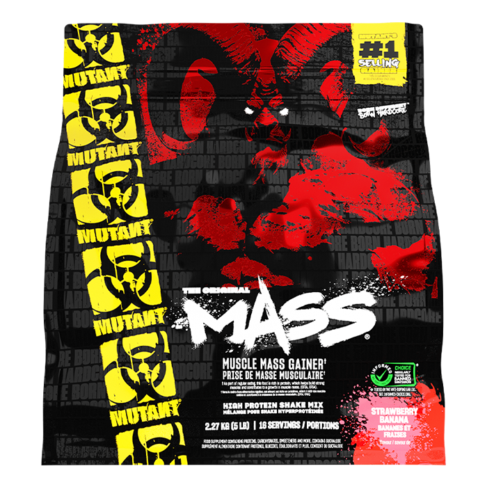 Mass Gainer 2,2 kg