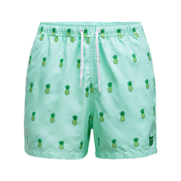 Bild av Santiago Swim Shorts, BB Pineapple Mint