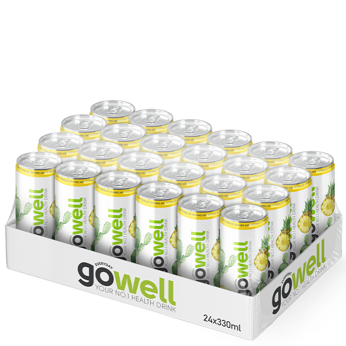 24 x GoWell Funktionsdryck Flak 33 cl