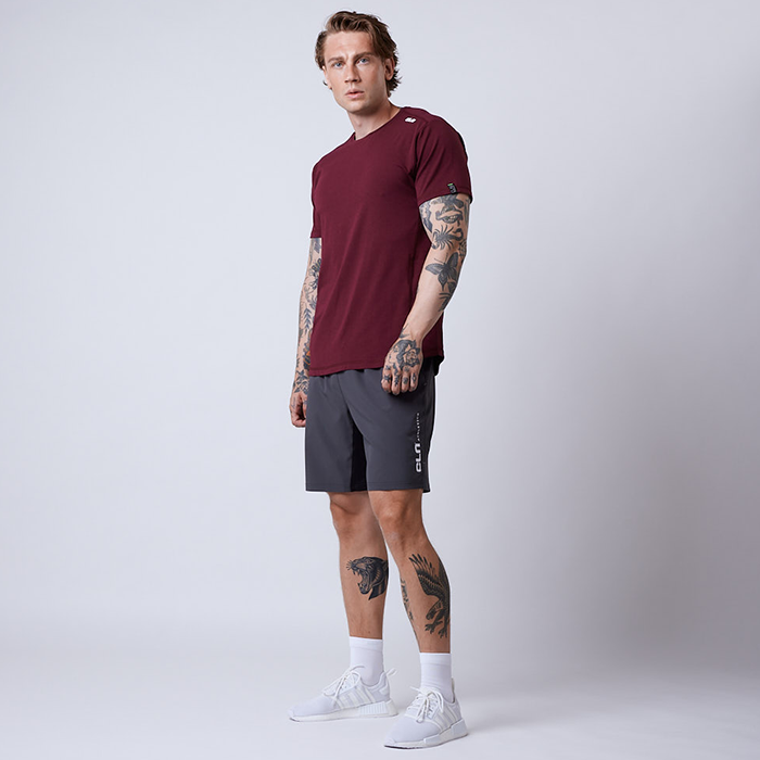 Dino Stretch Shorts Gr&aring;