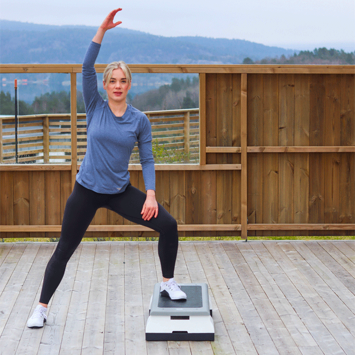 StepUp Pro Stepbr&auml;da