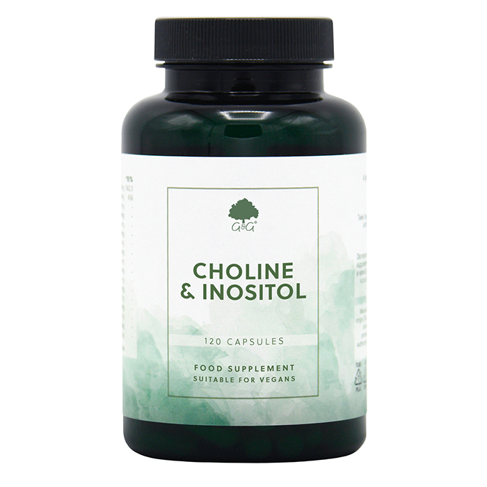 Choline 250mg Inositol 250mg 120 kapslar