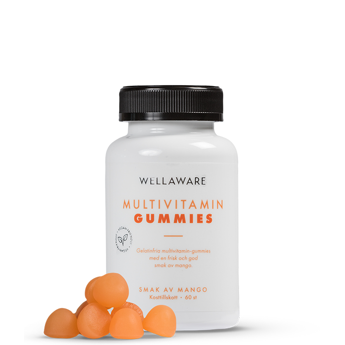 WellAware Multivitamin Gummies 60 st