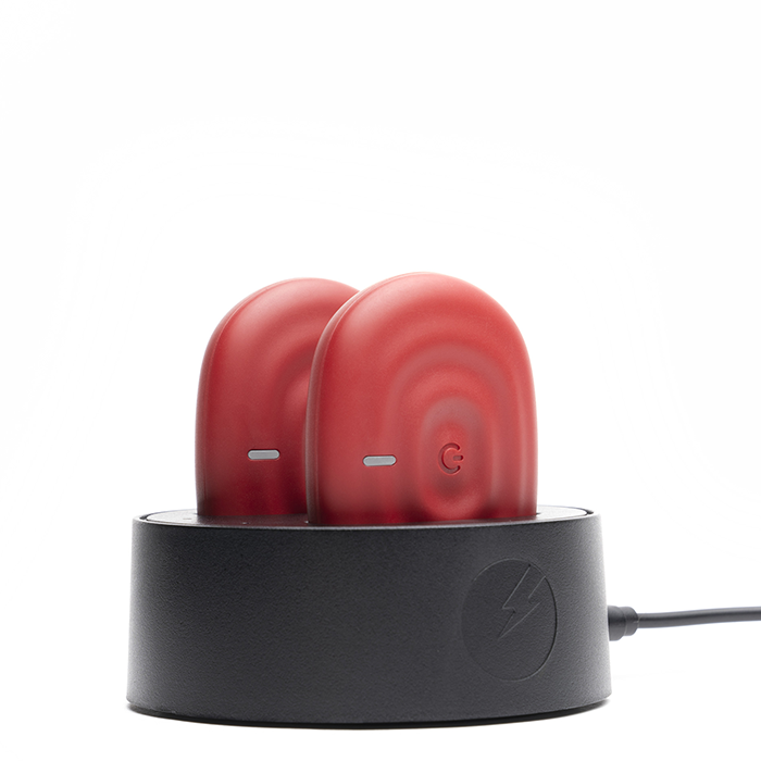 Läs mer om PowerDock Charging Station