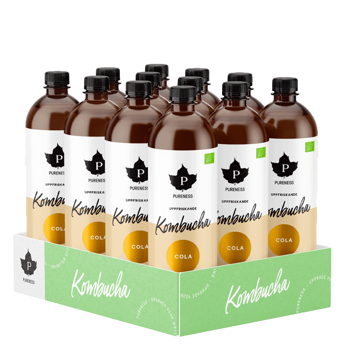 Bild av 12 x Kombucha EKO, 370 ml
