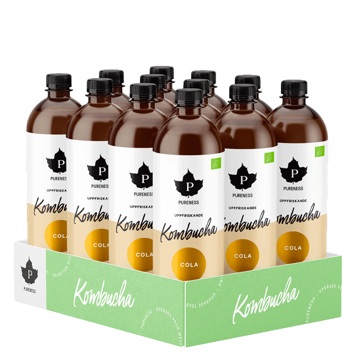 12 x Kombucha EKO 370 ml