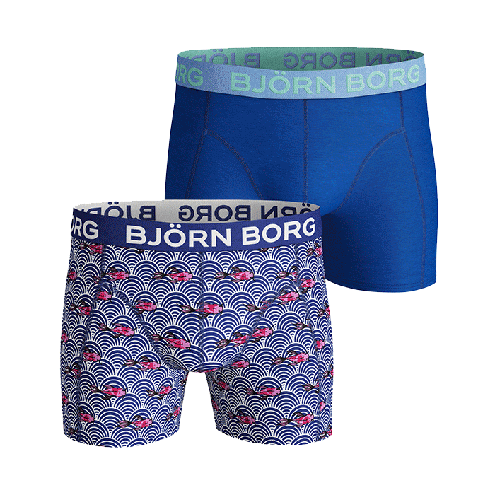 Bild av 2-Pack Sammy Shorts, Surf The Web