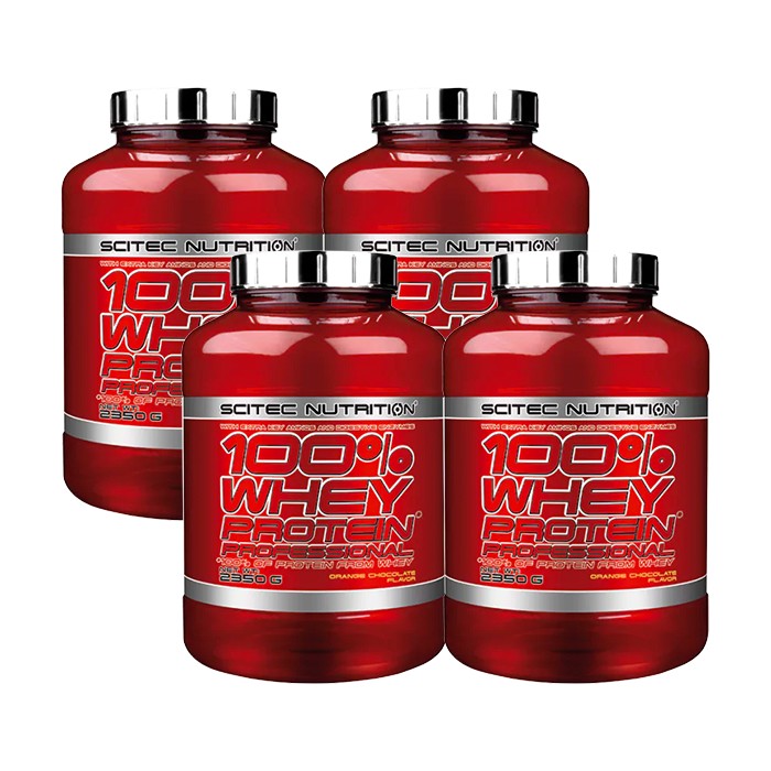 4 x 100% Whey Protein Professional, 2350 g, BIG BUY