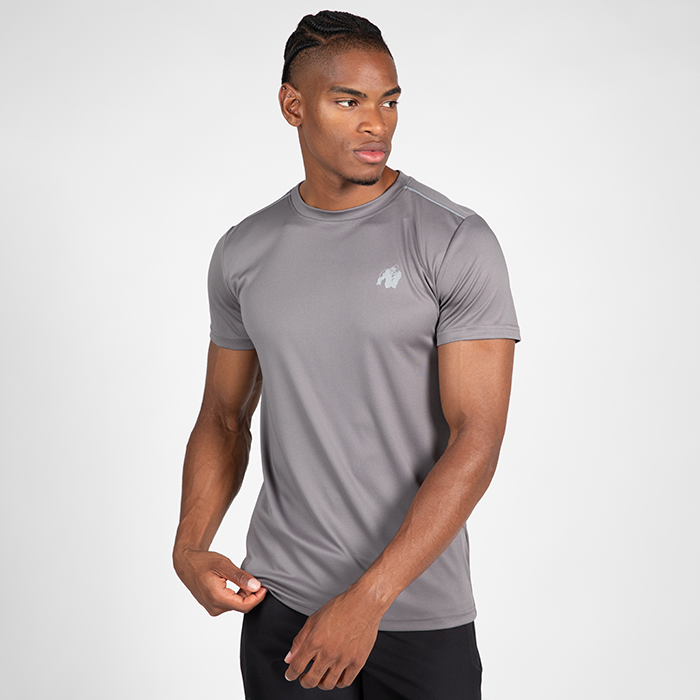 Gorilla Wear Easton T-Shirt Grey