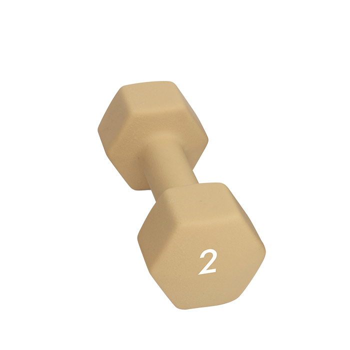 Läs mer om Abilica DumbBell