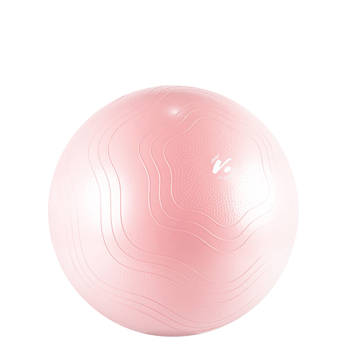 Gymstick Vivid Fitness Ball