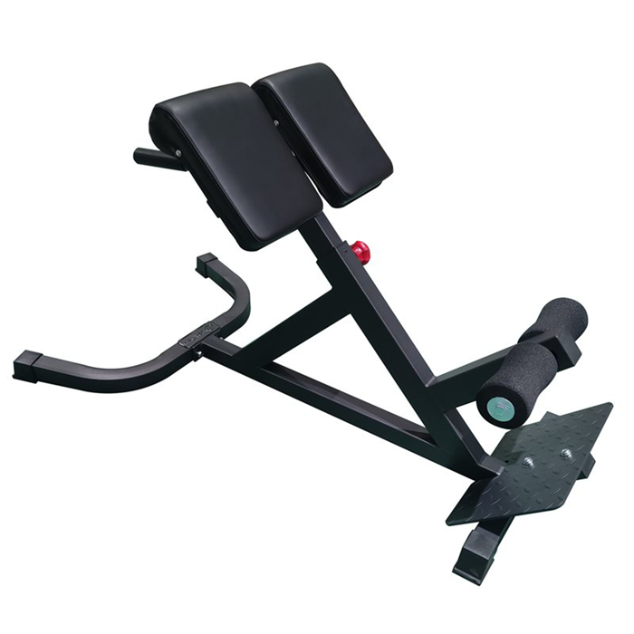 Master Fitness Back Trainer Silver I Träningsbänk