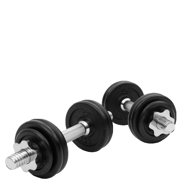 Abilica Hantelset 13 kg