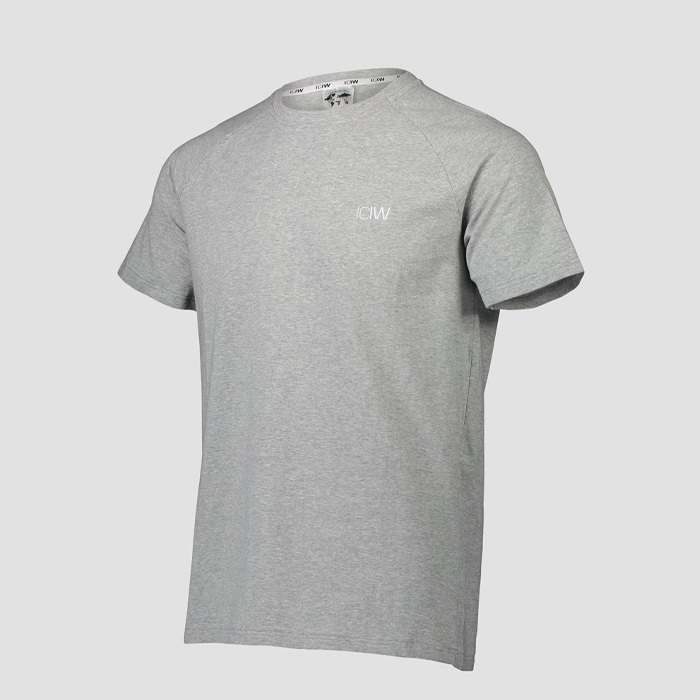 Essential T-shirt, Light Grey